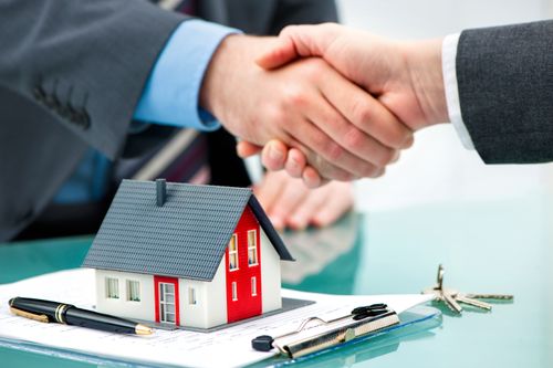 Bachelor Immobilier spécialisation Transaction