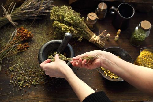 Formation à Distance Bachelor européen en Naturopathie et Bien-être. Niveau Bac+3