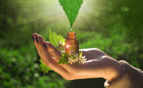 Formation à Distance Bachelor européen en Naturopathie et Bien-être. Niveau Bac+3