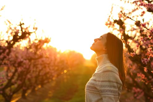 Bachelor naturopathie